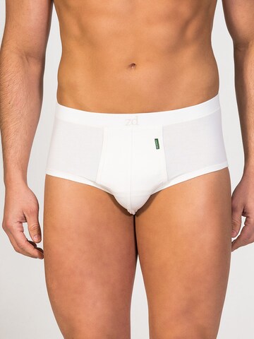 zd ZERO DEFECTS Panty 'Saturno Soya fly Front Brief' in White: front