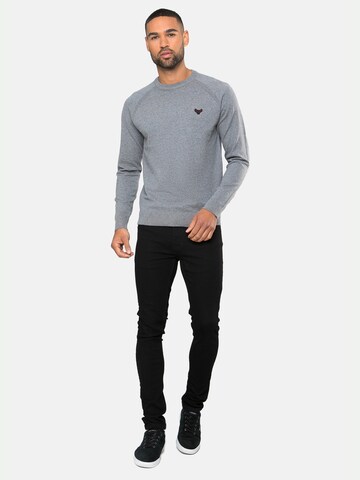 Threadbare Sweater 'Maned' in Grey