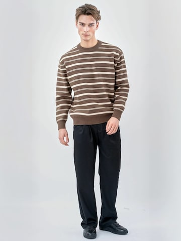 TEESHOPPEN Trui ' Striped ' in Bruin: voorkant