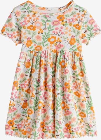 oranžinė Next Suknelė: priekis