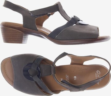 ARA Sandals & High-Heeled Sandals in 40 in Brown: front