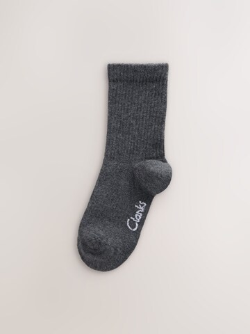 CLARKS Sukat värissä harmaa