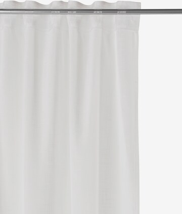 Home affaire Collection Curtains & Drapes in White