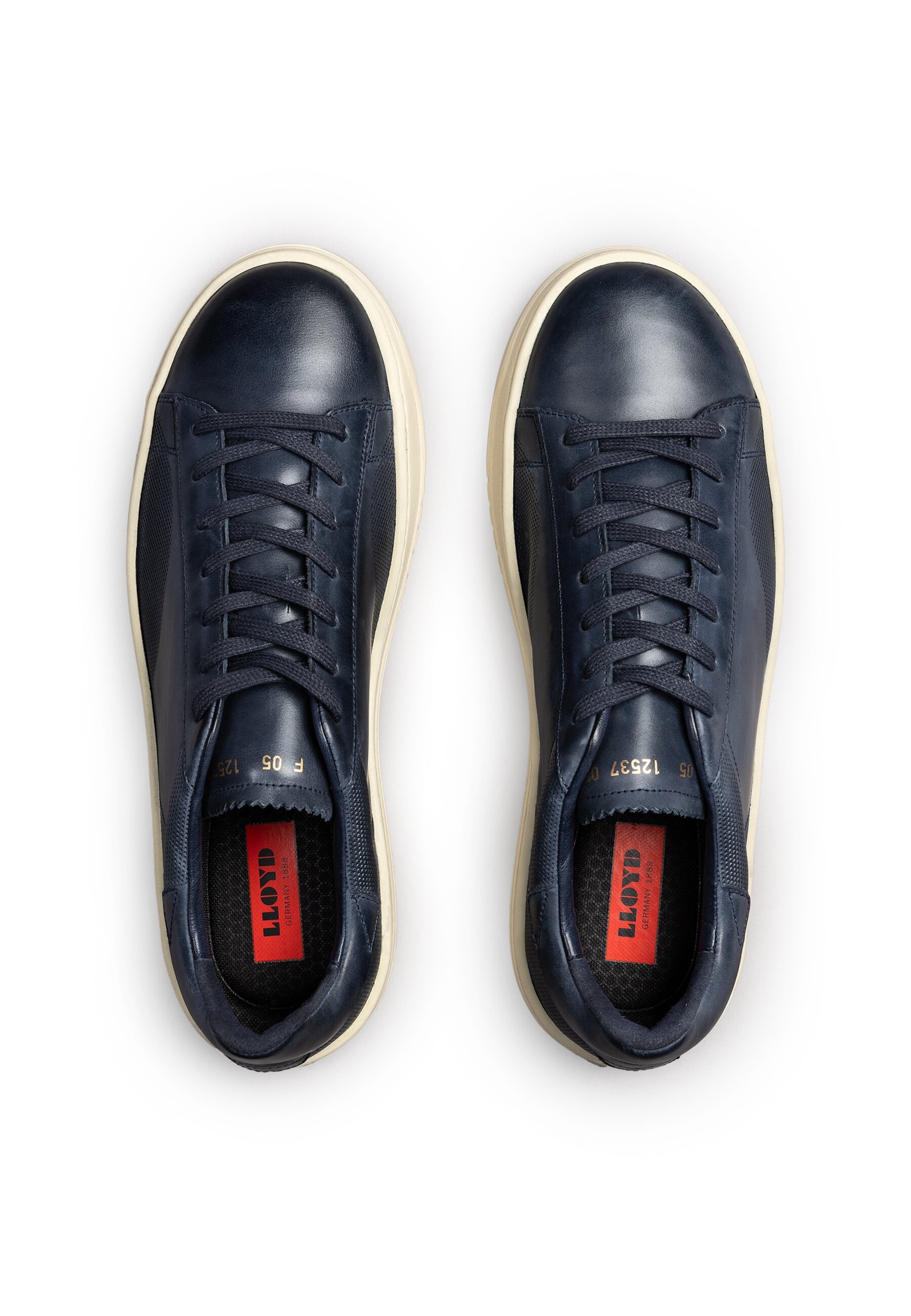 Baskets basses LLOYD en bleu