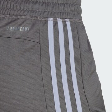 ADIDAS SPORTSWEAR Regular Sports trousers in Grey