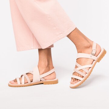 TIMBERLAND Strap Sandals 'Chicago Riverside' in Pink