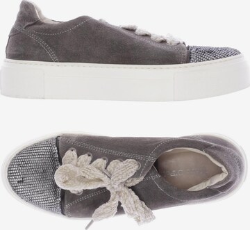 Marc O'Polo Sneakers & Trainers in 36 in Grey: front
