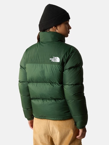 THE NORTH FACE Зимняя куртка в Зеленый