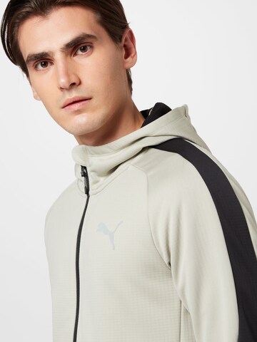 PUMA Athletic Zip-Up Hoodie 'Evostripe' in Grey