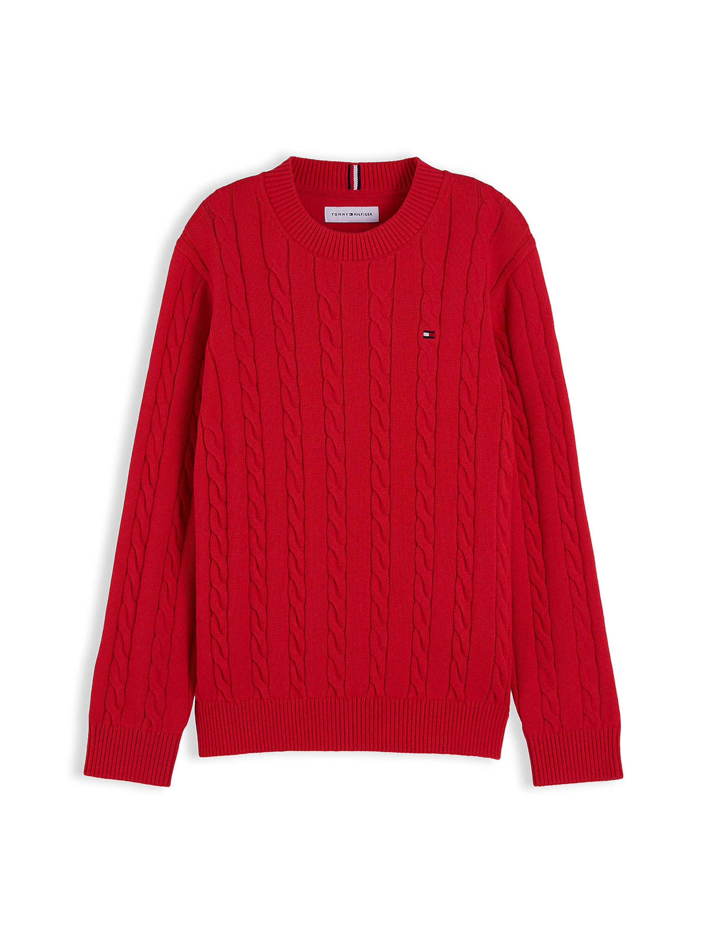 TOMMY HILFIGER Sweater 'Essential' in Red: front