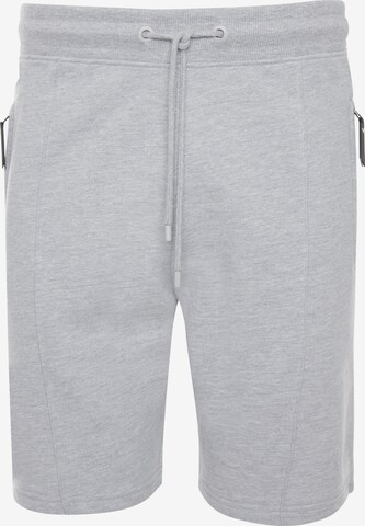 Threadbare Regular Pants 'Whyte' in Grey: front