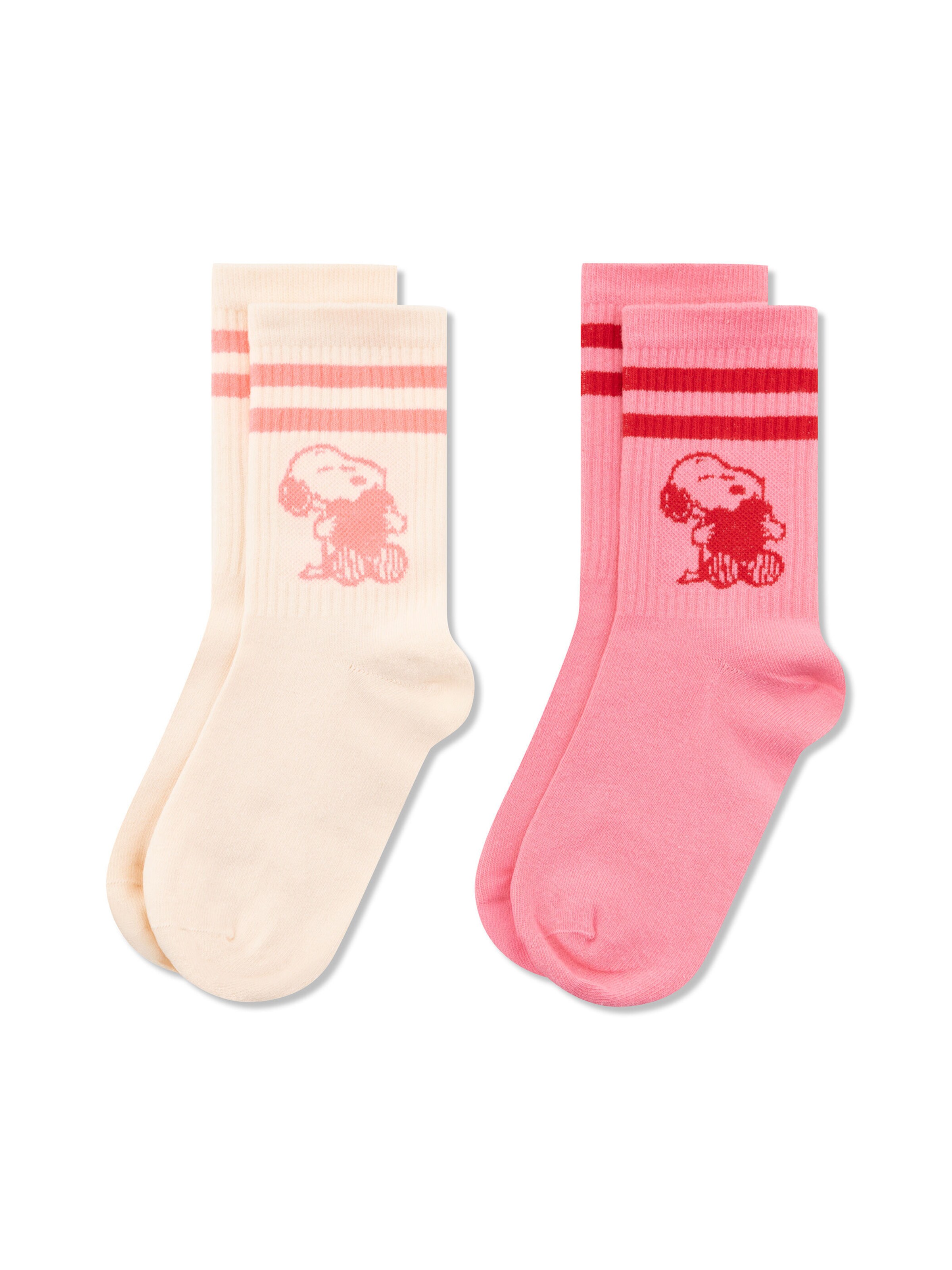 CODELLO Socks in Mixed colors: front