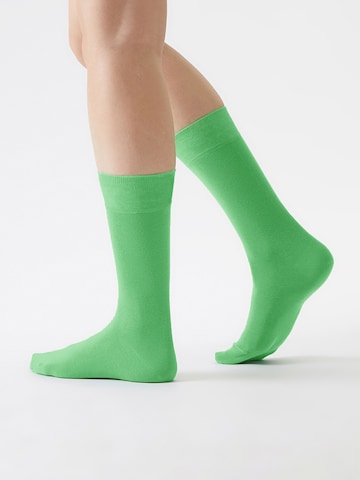 Von Jungfeld Socks 'SIGNATURE' in Green