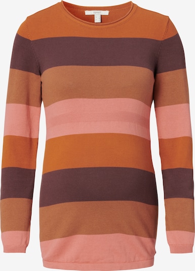 Esprit Maternity Pull-over en marron / rose / bordeaux, Vue avec produit
