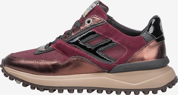 Floris van Bommel Sneakers 'Noppi 52' in Red: front