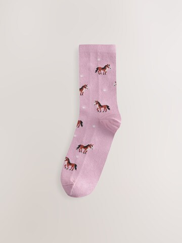Next Socks in Mixed colours