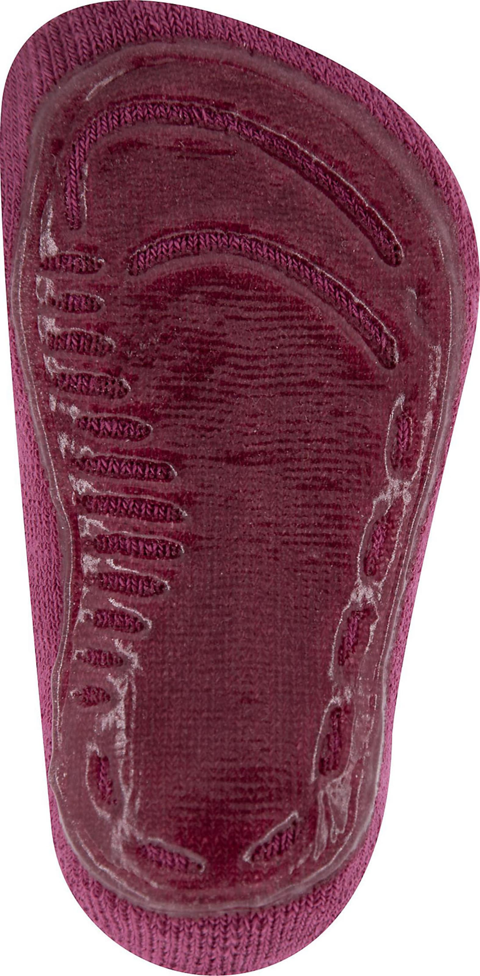 EWERS Socks in Purple