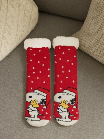 Snoopy & Die Peanuts Socks in Red