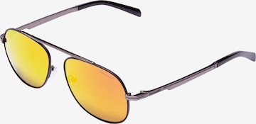 Formula 1 Eyewear Sonnenbrille in Grau: predná strana