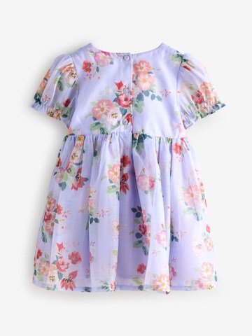 Next Kleid 'Cath Kidston' in Lila