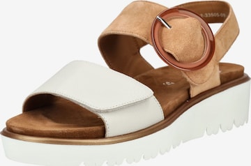 Sandalo di ARA in marrone: frontale