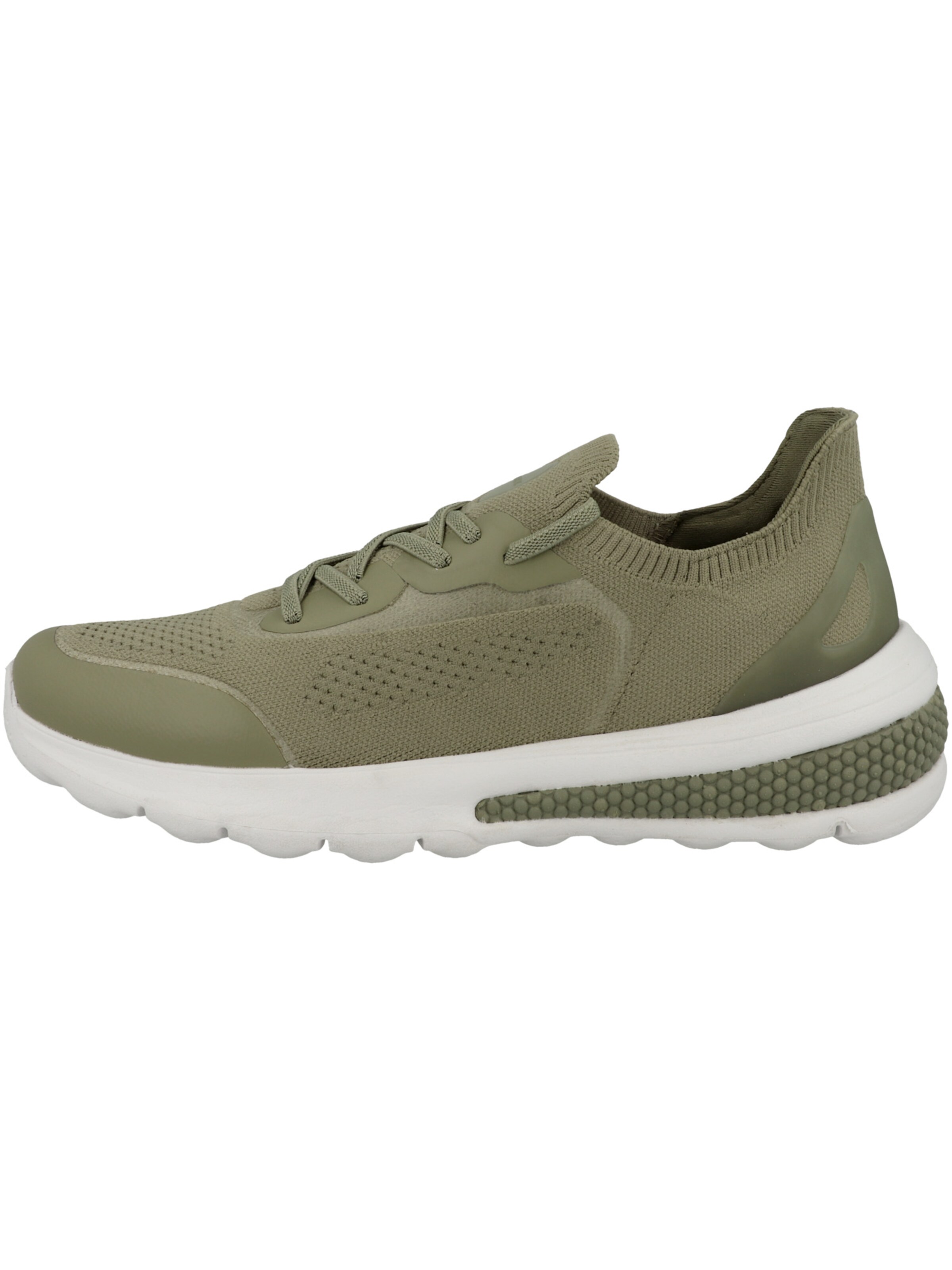 Sneaker bassa di GEOX in verde