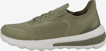 GEOX Sneakers in Green