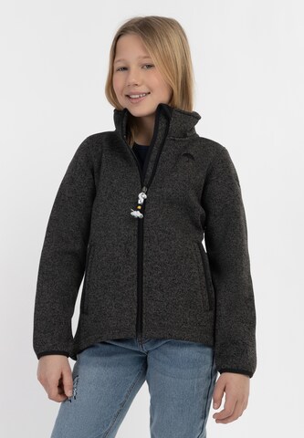 Schmuddelwedda - Chaqueta polar en gris: frente