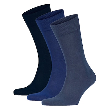 FALKE Socks in Blue