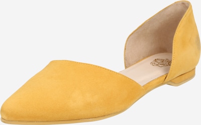 Apple of Eden Slipper - žlutá, Produkt