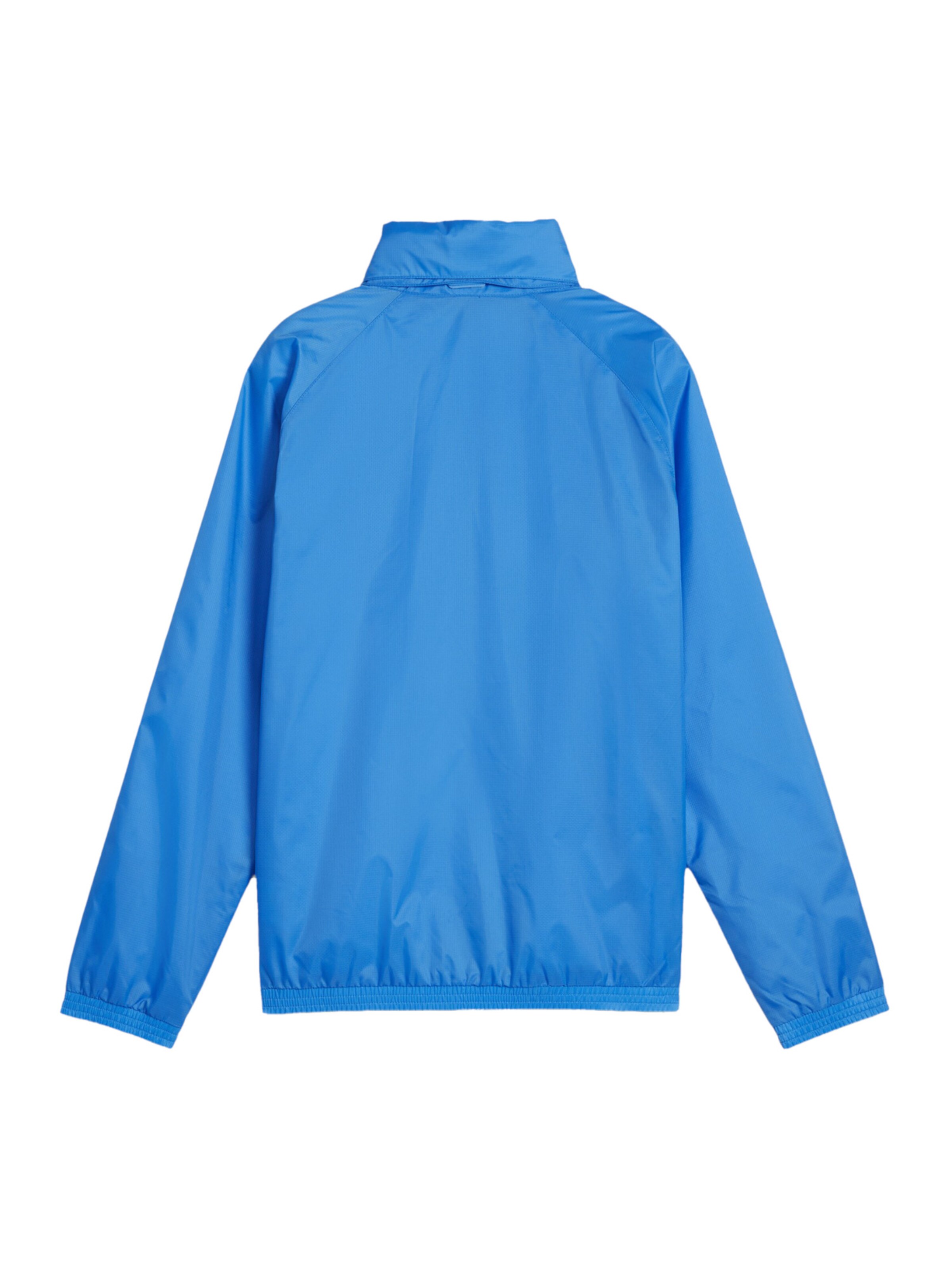 PUMA Athletic Jacket 'TeamGOAL' in Blue