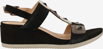 GEOX Sandalen met riem in Zwart