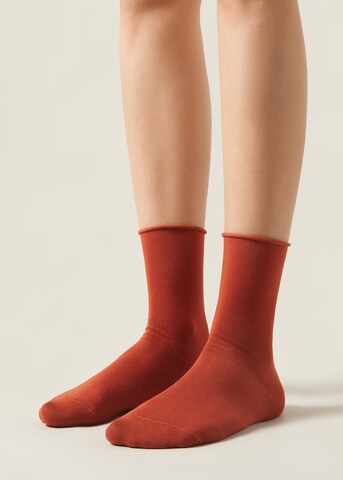 CALZEDONIA Socken in Orange: Vorderseite