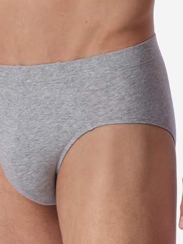 SCHIESSER Slip '95/5 Essentials - Organic Cotton' in Gemengde kleuren