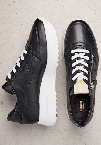 Baskets basses LLOYD en noir