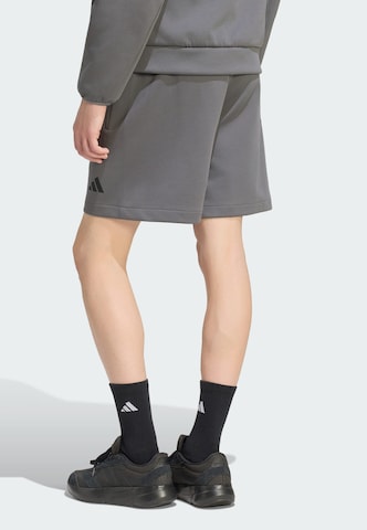 Loosefit Pantalon de sport 'Z.N.E.' ADIDAS SPORTSWEAR en gris