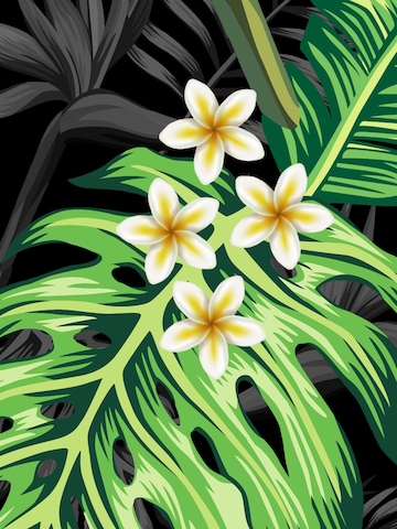Coupe regular Chemise 'Hawaiihemd "Bird of Paradise"' Hawaiihemdshop.de en noir