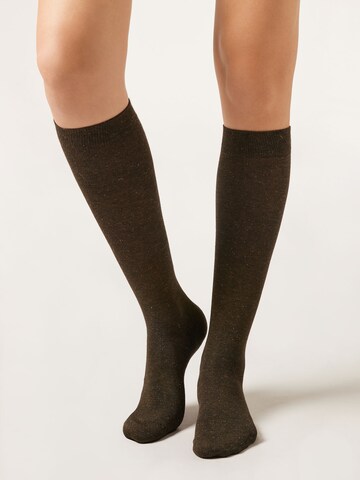 CALZEDONIA Kniestrümpfe in Braun: Vorderseite