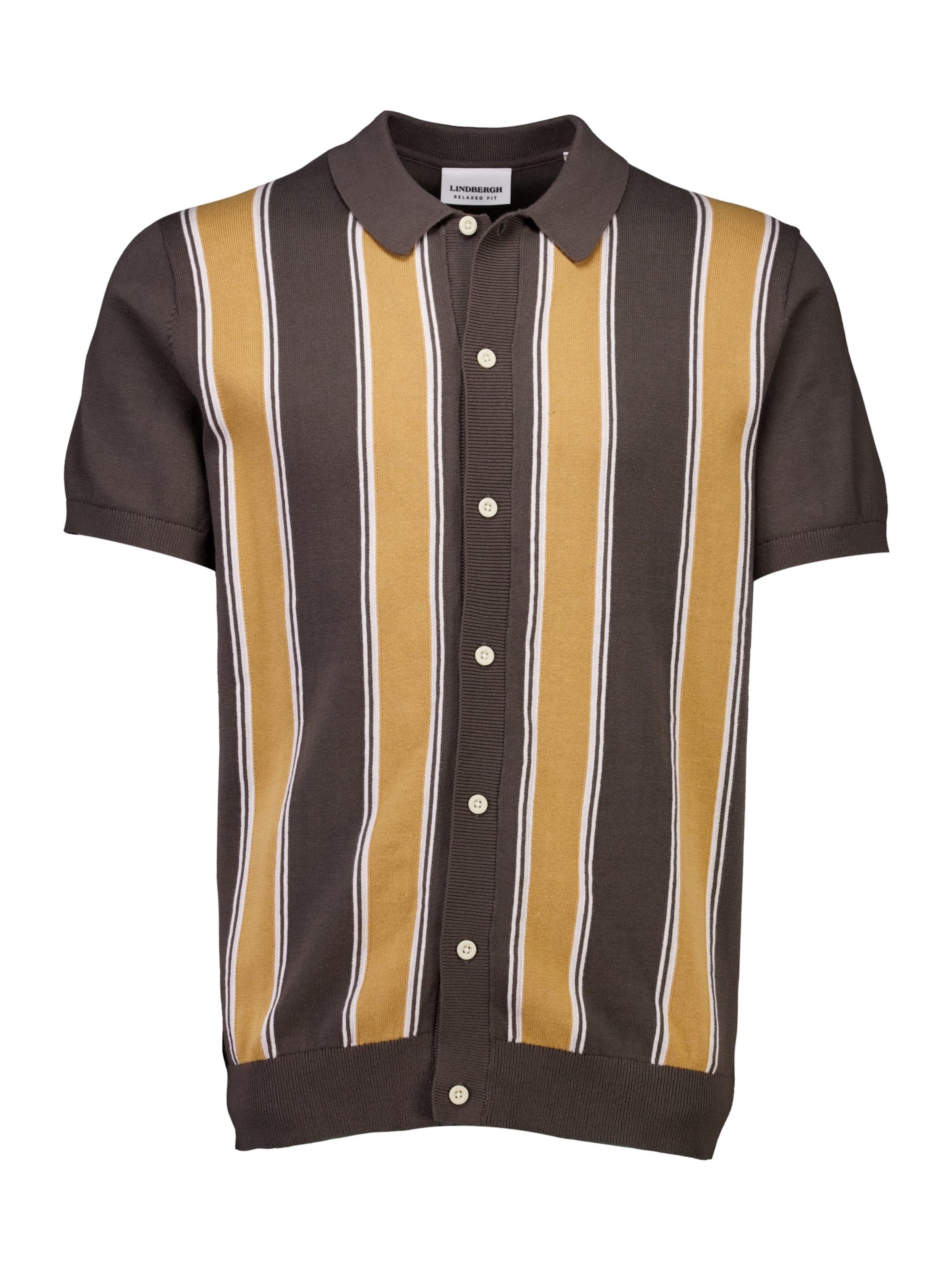 Lindbergh Shirt in Green: front
