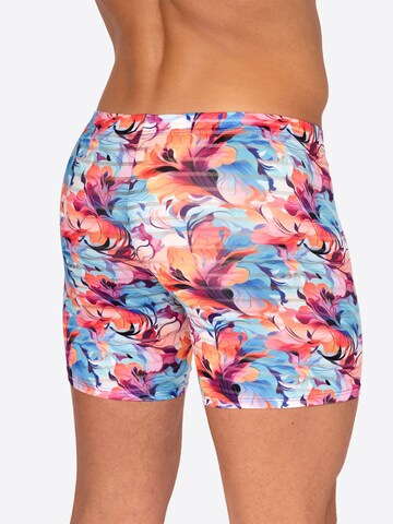 Boxers ' RED2559 Bikerpants ' Olaf Benz en mélange de couleurs