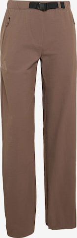 ADIDAS TERREX Outdoor trousers 'Xperior' in Brown: front