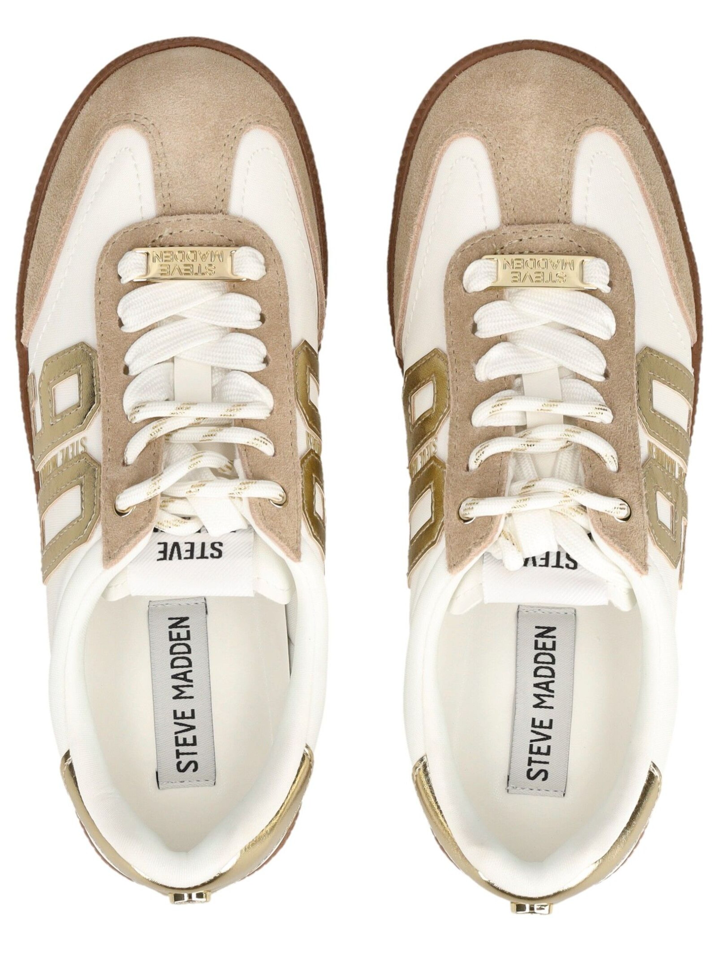 Sneaker bassa di STEVE MADDEN in marrone