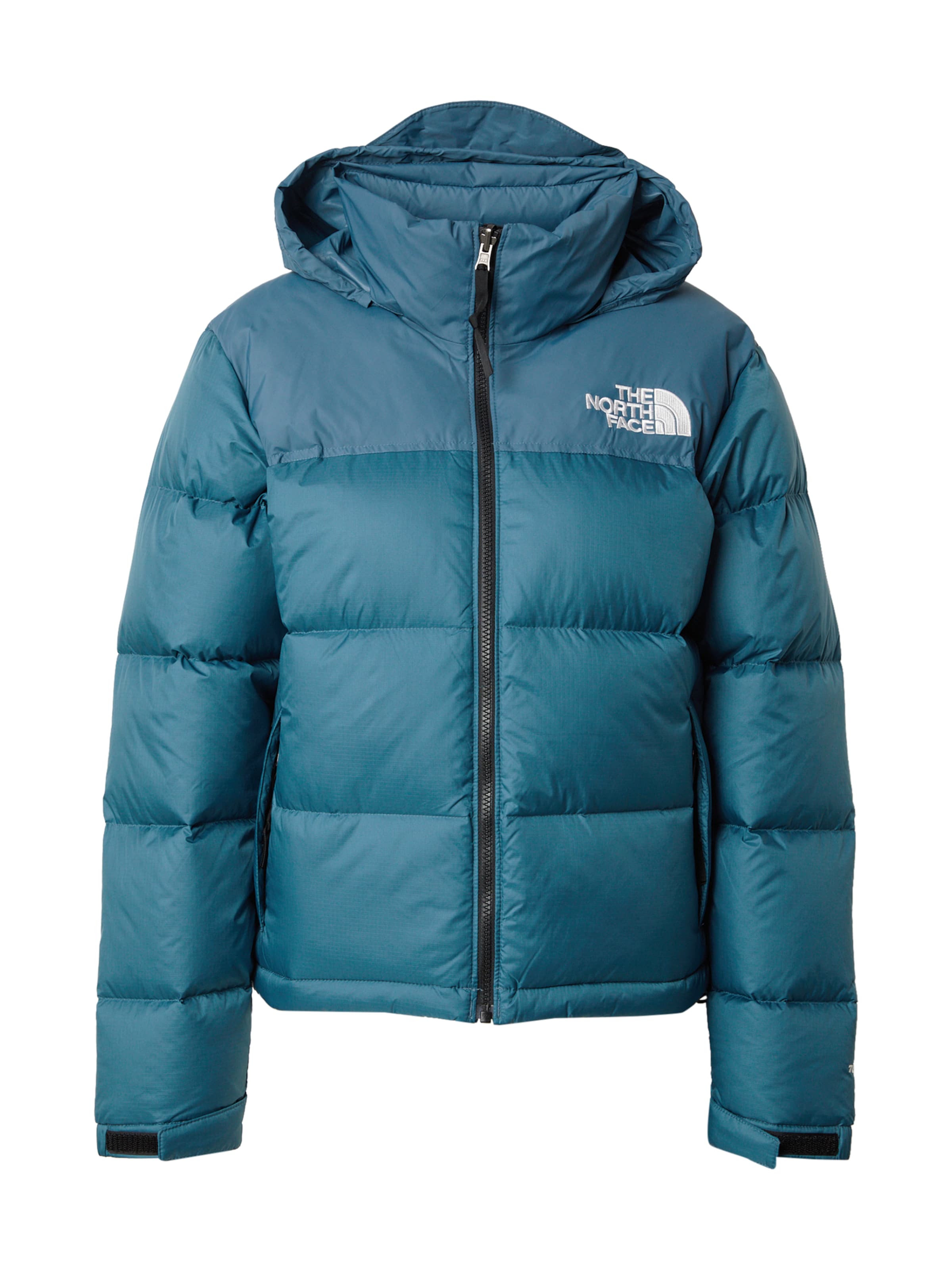 THE NORTH FACE Weatherproof jacket '1996 Retro Nuptse' in Blue: front