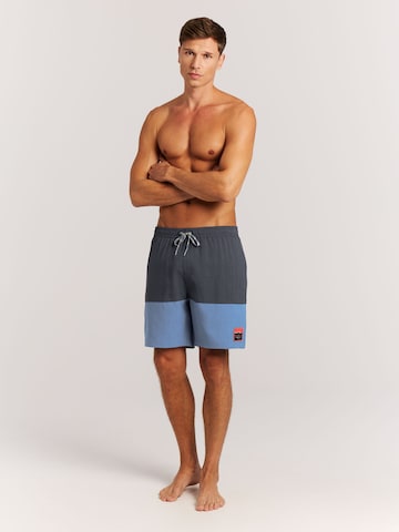 PROTEST Board Shorts 'PRTCabus' in Blue