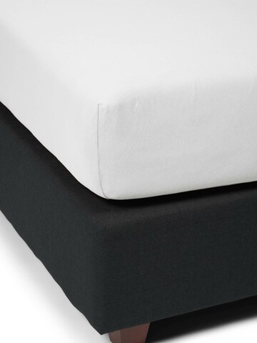 ESSENZA Bed Sheet in White