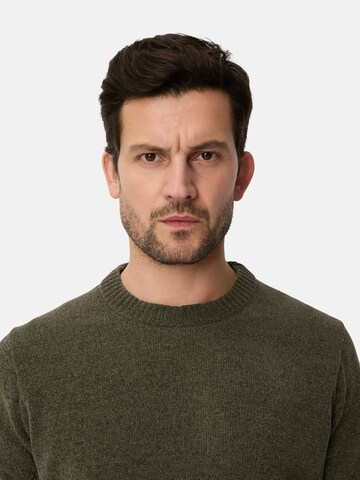 CAMEL ACTIVE Pullover in Grün