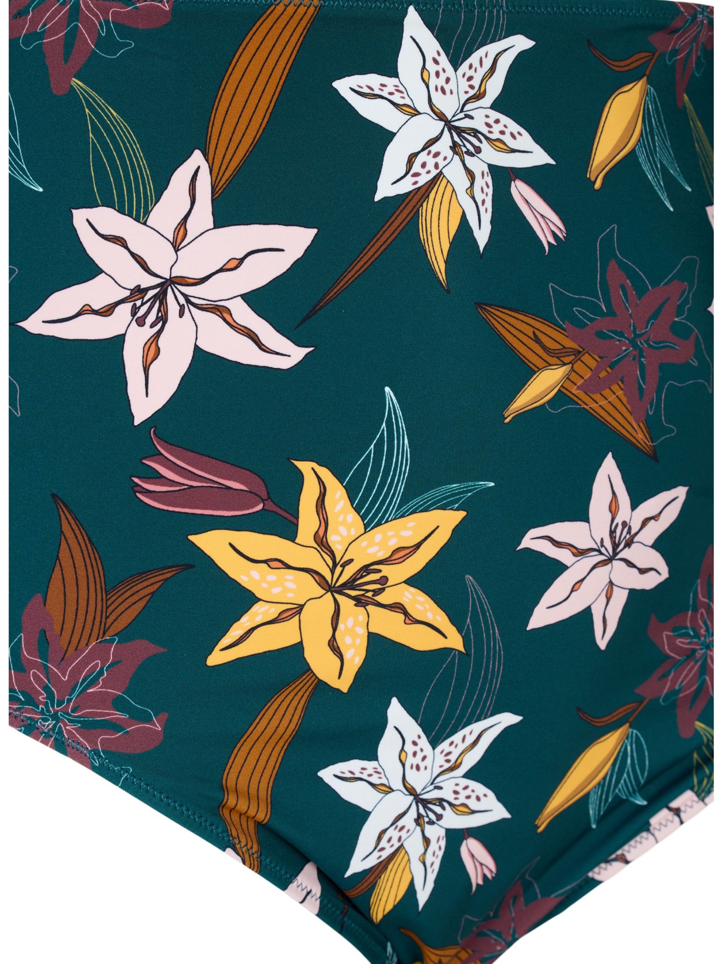 Swim by Zizzi Bikini bottom 'SKATRIN' in Green