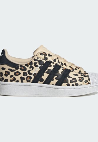 ADIDAS ORIGINALS - Zapatillas deportivas 'Superstar II' en beige
