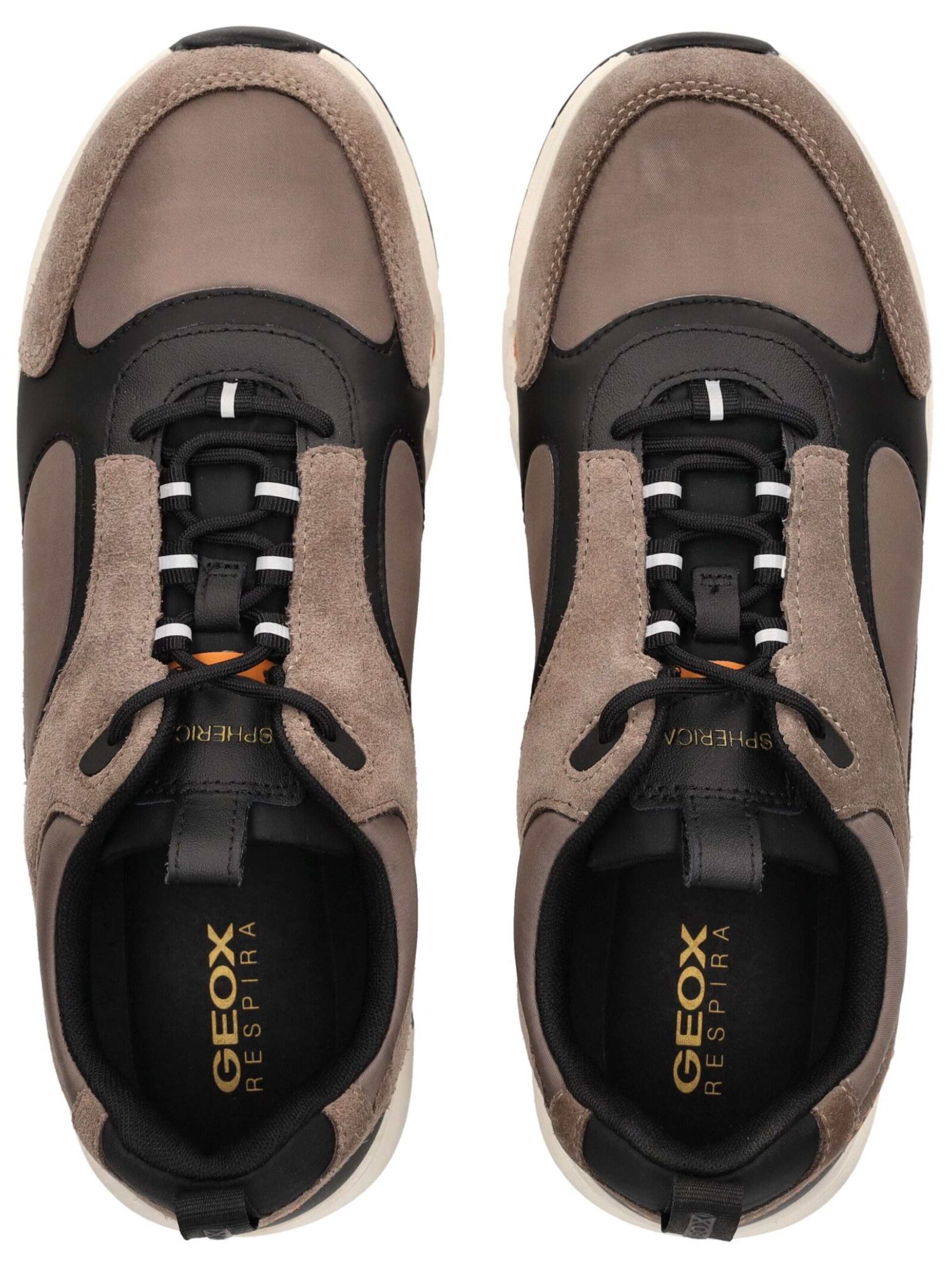 Baskets basses 'Spherica Ecub-4' GEOX en gris