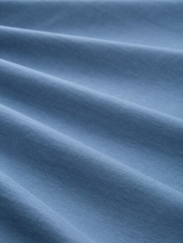 TOM TAILOR DENIM Shirt in Blue